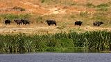 TANZANIA - Ngorongoro Crater - 43